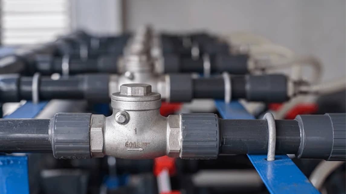 Check valves